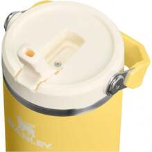 IceFlow 2.0 Flip Straw Tumbler With Handle 30 Oz Twist On Lid And Flip Up Straw Leakproof Bottle Insulated Stainless Steel BPA- Daffodil - Hoa thủy tiên + 30 ounce - Xem 2