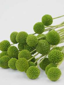 10/20支 綠色人造球形金鈕花花束，直徑約1.5英吋，適用於家居裝飾、拍照道具、DIY婚禮佈置 - 綠色 - 查看 4