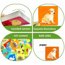 54pcs/Box English Animal Word Learning Flash Cards, 54 Different Small Animal Images With Corresponding Word Learning, Rounded Card Design For Hands, Great Choice For Parent-Child Interaction - Green - View 6