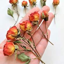 20pcs Artificial Red Rose Flowers, Mini Fake Rose Buds, Resin Handmade Miniature Artificial Flowers, Craft Decor Fake Flowers, Wedding Home Decor, Wedding Floral Decoration - Orange - View 7