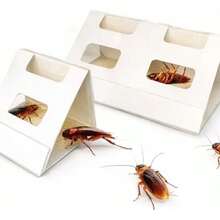 Cockroach Glue Traps, 6-Pack - MU - View 3
