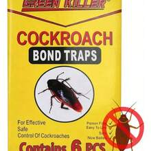 Cockroach Glue Traps, 6-Pack - MU - View 4