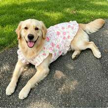 一件碎花狗狗连衣裙，可爱的粉色碎花连衣裙，适合金毛寻回犬、萨摩耶犬、拉布拉多犬等大型犬。 - 粉色 - 查看 3