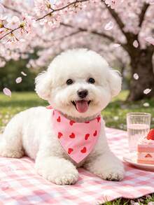 Rose bonbon
