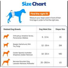 Pet Urine Pads/Diapers - Waist Size , 12 to 19 Inches - View 8
