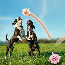 Durable Dog Chew Toy Ball. Dental Cleaning Pet Toy. Rubber Material. Tough. Pet Companion Toy. - 隨機 - 查看 9