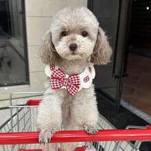 Easter Houndstooth Pet Scarf, Suitable For Cats, Small To Medium Dogs And Rabbits. Available In Multiple Colors And Sizes. Plaid Bow Pet Scarf, All-Season Photo Prop. Soft, Breathable And Washable - Multicolor - View 6