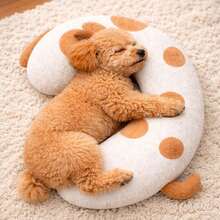 Comfortable, Soft, Durable & Chew-Resistant Dog Bed Pillow, Cozy Sleeping & Playing Cushion, Easy To Clean Pet Supplies - one-size - View 1