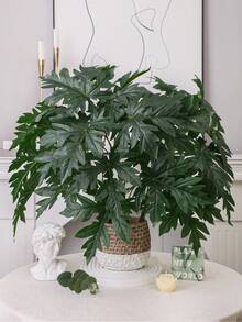 1/3株仿真番木瓜（Carica Papaya L.）绿植，人造植物，非常适合用于婚礼花束、餐桌摆饰、墙面装饰和家居装饰。适用于客厅、卧室、婚礼、派对和活动装饰。是馈赠佳品，也适合批发。 - 綠色-C - 查看 10