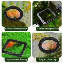 Fish Feeding Ring For Aquarium – Round And Square Floating Food Feeder With Suction Cup For Betta, Goldfish, Guppy, Turtle - Multicolor - View 9