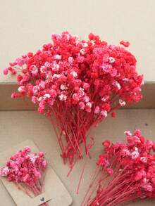 20/50/100/150/300pcs Mini Artificial Baby's Breath & Other Flowers - For Resin Mold Art & Crafts, Colored Bouquets For Hair Accessories, Wedding Wreaths, Tabletop Decor, Home Decoration - Ivory White Bouquets For Hair Accessories, Wedding Wreaths, Tabletop Decor And Home Decoration - Red - View 1
