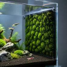 3D打印PLA苔藓墙种植网，水族箱悬挂式苔藓固定网，爪哇莫丝/圣诞莫丝/孔雀莫丝专用种植架，可放置于水族箱内或粘贴于水族箱壁上，防止鱼虾缠绕，景观装饰 - A - 查看 9