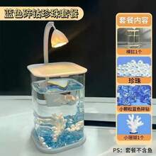 透明壓克力塑料小魚缸附水晶石，桌面創意鬥魚缸，珍珠水鑽景觀魚缸裝飾與造景套組 - 查看 8