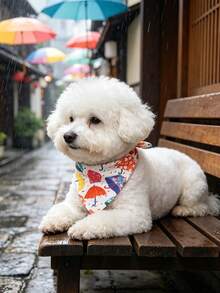 聚酯纖維多色雨傘圖案寵物圍巾領巾，Happy Little Dog，適合小型至中型貓狗（比熊、泰迪），適合全年室內外玩耍，不適合大型犬種 - 白色 - 查看 4