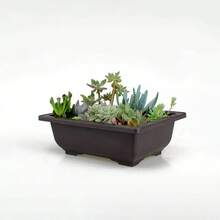 Square & Rectangle Imitation Zisha Flower Pot, Bonsai Pot, Small Potted Plant Plastic Container, Succulent Plant Pot - Multicolor - View 6