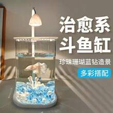 透明壓克力塑料小魚缸附水晶石，桌面創意鬥魚缸，珍珠水鑽景觀魚缸裝飾與造景套組 - 查看 2