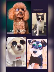 1pc/2pcs Optional Resin Pet Sunglasses, Hip-Hop Style Solid Color Round Frame Lightweight Wearable Detail, Photo Decoration Accessory, Universal For Cats And Dogs, Suitable For Daily Street Photography, Outdoor Check-In, All-Season Dressing Scenes - Multicolor - View 7