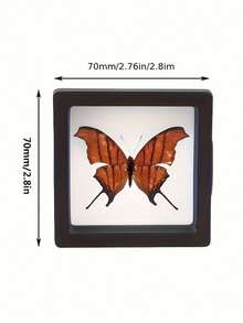 3D Floating Transparent Display Frame For Jewelry, Coins And Assorted Collectibles - Multiple Styles - View 10