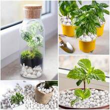 Đá trang trí tự nhiên bóng loáng - Đá sông trắng và sỏi đánh bóng, thích hợp cho cây trồng trong nhà, bể cá, cảnh quan sân vườn, trang trí bình hoa | Đồ thủ công mỹ nghệ, Trang trí nhà cửa (Phụ kiện bể cá, Trang trí sân vườn, Trang trí làm vườn) - 1 bộ - Xem 10