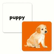 54pcs/Box English Animal Word Learning Flash Cards, 54 Different Small Animal Images With Corresponding Word Learning, Rounded Card Design For Hands, Great Choice For Parent-Child Interaction - Green - View 7