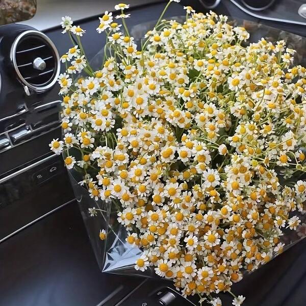 330 Cabezas de flores de margarita artificial - 33 tallos - blanco con centros amarillos, adecuado para todas las estaciones. Perfecto para porches exteriores, jardines, cajas de flores de alféizar, centros de mesa, decoraciones de boda y fiesta, decoración de hotel y regalos de inauguración de la casa. Flores de plástico artificial para decoraciones del Día de la Independencia, adecuadas para uso en interiores y exteriores, flores artificiales de estilo europeo y americano, decoración de jardín durante todo el año, ideal para entusiastas de la decoración del hogar, recipiente no incluido.