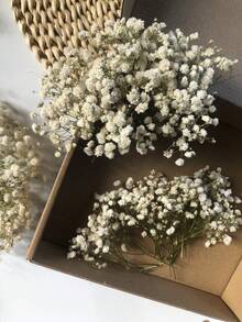 100/50pcs White Baby's Breath Artificial Flowers - Vivid Dyed Fake Flowers Suitable For Wedding Decor, Invitation Decor, DIY Crafts, Corsages, Home Decor, Desk Decor, Office Decor - Multicolor - View 4