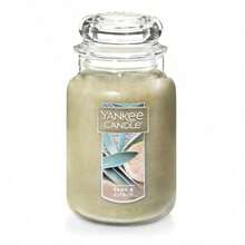 Yankee Sage and Citrus - Verde - Ver 8