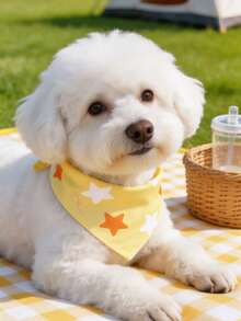聚酯纖維黃色星星印花寵物圍巾領巾，Happy Little Dog，適合小型至中型貓狗（比熊、泰迪），適合全年室內或戶外玩耍，不適合大型犬 - 黃色 - 查看 4