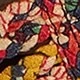 Multicolor