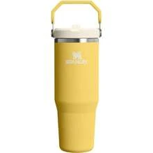 IceFlow 2.0 Flip Straw Tumbler With Handle 30 Oz Twist On Lid And Flip Up Straw Leakproof Bottle Insulated Stainless Steel BPA- Daffodil - Hoa thủy tiên + 30 ounce - Xem 1
