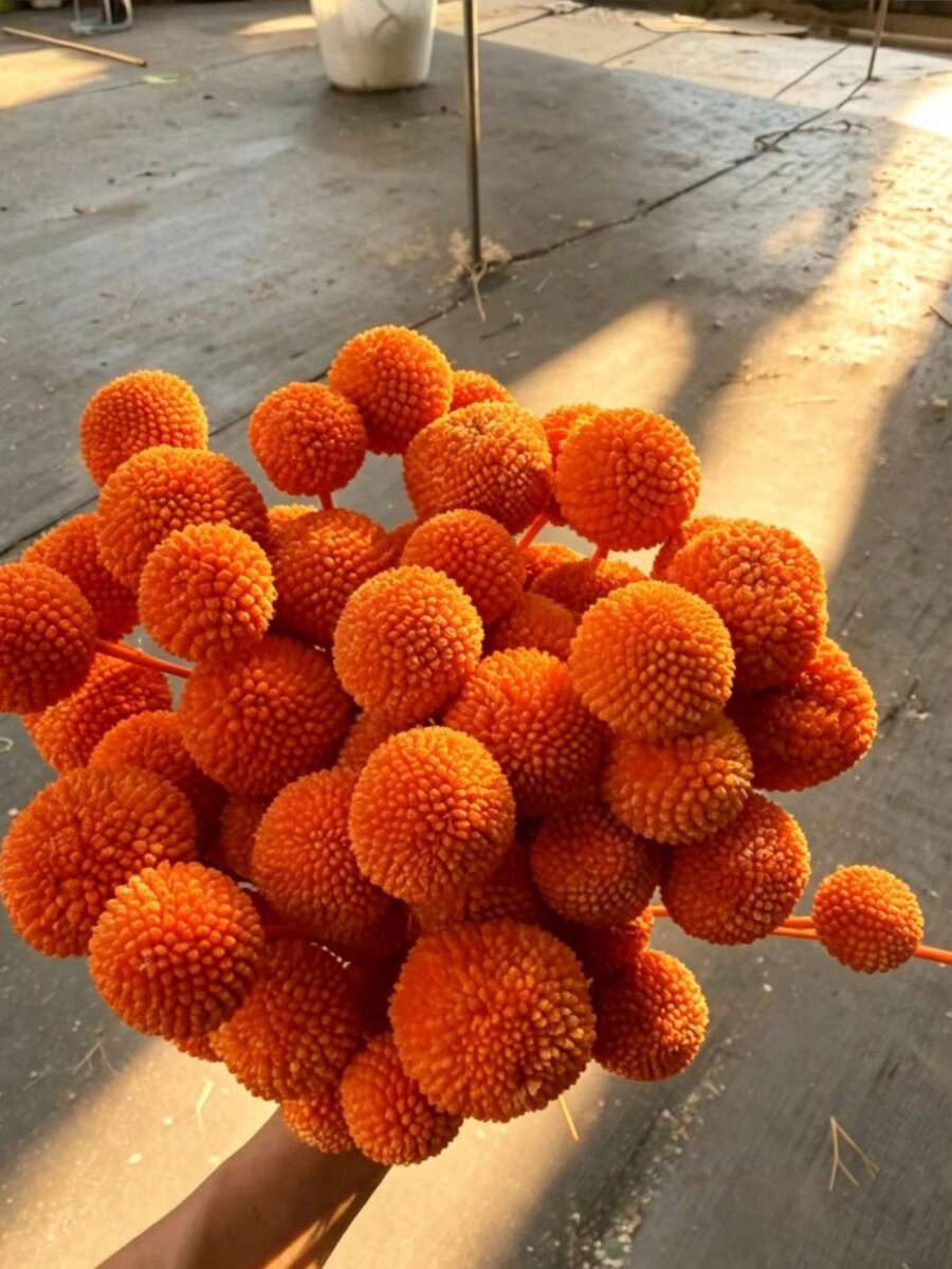 10/20pcs Stem Craspedia Green Artificial Billy Button Ball Bouquet - Diameter Approx 1-1/2 Inches For Home Decor, Photo Props, DIY Wedding Decoration - Orange - View 1