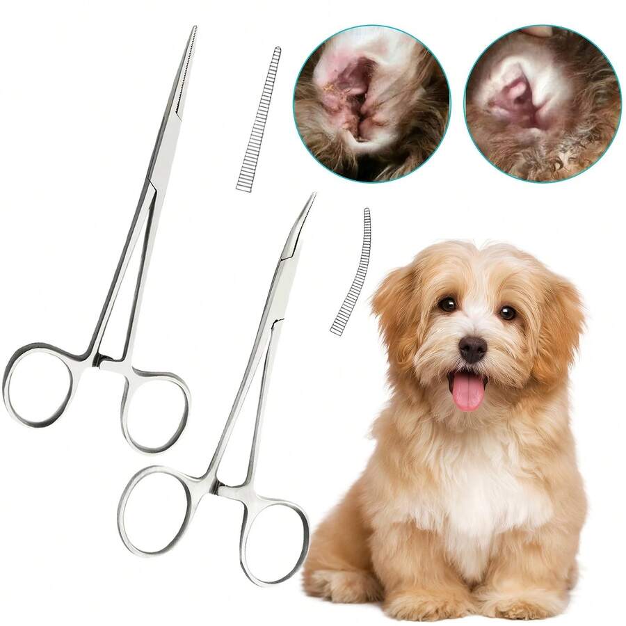 Pinze per rimozione peli di orecchie per animali domestici, dritte e curve, in acciaio inossidabile, accessori per la toelettatura di gatti e cani