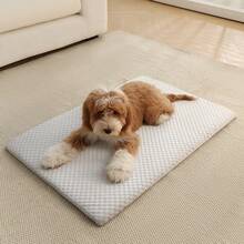 1pc Sponge Cooling Cat Bed, Thick Padding Comfortable Cool Breathable Cat Nest, Non-Slip And Washable Cooling Dog Bed, Suitable For All Seasons - Grey - View 9