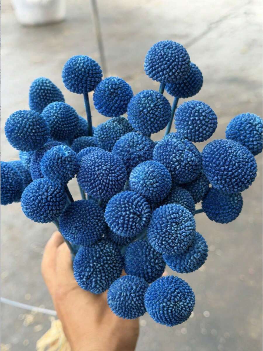 10/20支绿色金槌花仿真花枝 - 直径约1-1/2英寸,适用于家居装饰、摄影道具、DIY婚礼装饰 - 淺寶藍色 - 查看 1