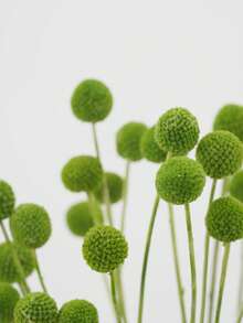 10/20支 綠色人造球形金鈕花花束，直徑約1.5英吋，適用於家居裝飾、拍照道具、DIY婚禮佈置 - 綠色 - 查看 6