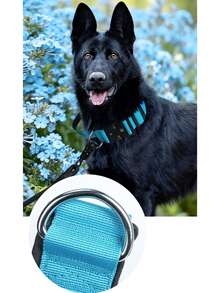 可調節戰術狗項圈，附手柄，適用於中大型犬種如比特犬、德國牧羊犬、拉布拉多、黃金獵犬、杜賓犬、羅威拿犬、美國鬥牛犬、斑點狗、邊境牧羊犬，厚實舒適加墊頸圈，配備耐用扣環與D型環，適用牽繩與訓練 - 藍色 - 查看 9