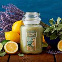 Yankee Sage and Citrus - Verde - Ver 2