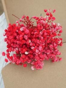 20/50/100/150/300pcs Mini Artificial Baby's Breath & Other Flowers - For Resin Mold Art & Crafts, Colored Bouquets For Hair Accessories, Wedding Wreaths, Table Decor, Home Decoration - Ivory White Bouquets For Hair Accessories, Wedding Wreaths, Table Decor & Home Decoration - Red - View 6