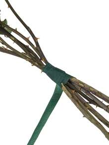 12卷绿色花艺胶带,27米 x 1.2厘米自粘花艺胶带,绉纸材质茎部包裹胶带,适用于花束制作、手工DIY、婚礼花艺装饰 - 12卷 - 查看 7
