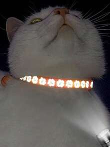 Collar reflectante personalizado para gatos con campana y hebilla de - Se puede personalizar con etiqueta antiextravío - Adecuado para gatitos y gatos adultos - Multicolor - Ver 4