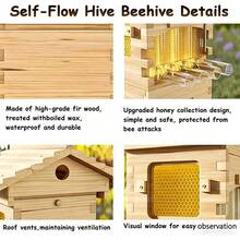 Automatic Self-Flow Hive Beehive Kit With Honey Spout And Observation Window, Full Wooden Beehive Box Set For Hobbyist Beekeepers,Backyard Gardens - 預設 - 查看 5