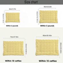 1pc Soft Pet Bed Pad With Minimalist Carrot Pattern, Washable Dog Crate Mat Suitable For Small/Medium/Large Dogs, Reversible Cat Bed Mat, 4-Season Use - Multicolor - View 2