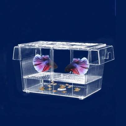 Hộp cách ly sinh sản cá bằng acrylic trong suốt, hộp ươm giống cá cảnh, giá đỡ ấp trứng.