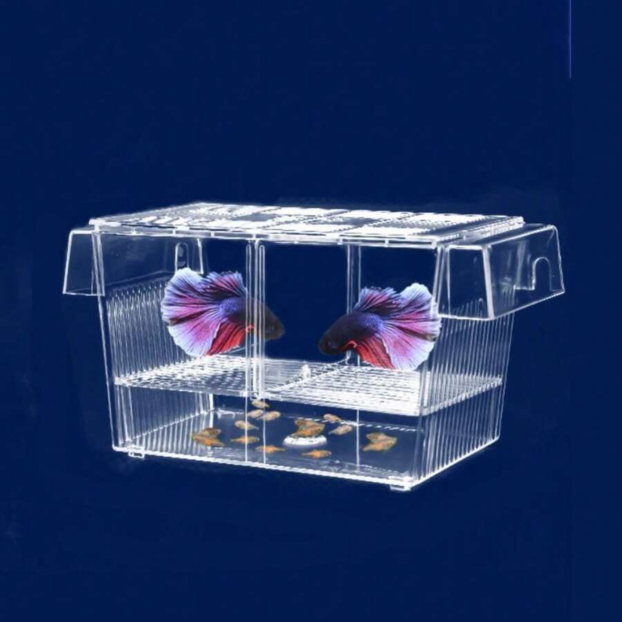 透明亚克力鱼缸繁殖隔离盒水族箱孵化器支架 - 彩色 - 查看 1