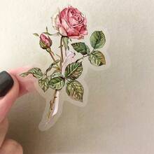 50pcs Floral & Letter Sticker Pack, Waterproof Transparent PET Material, Suitable For Scrapbooking, Diary, Guitar, Notebook Decoration - Multicolor - View 8