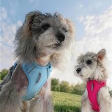 Arnés para perro sin tirones con 2 enganches para correa, ajustable y acolchado suave, chaleco para mascotas de Oxford reflectante sin ahogo con asa de control fácil para perros grandes, medianos y pequeños - Multicolor - Ver 3