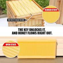 Bee Hives Boxes Starter Kit,Automatic Wooden Beehive House, 7pcs, Auto Honey Hive Frames, Beekeeping Starter Kit For Backyard Beekeeping Cabin Style Beehive - mặc định - Xem 3