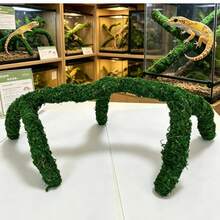 豹紋壁虎飼養缸配件，可調節攀爬玩具用品，烏龜棲息地裝飾 - 查看 2