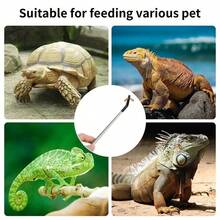 1-2pcs Reptile Feeding Tools, Stainless Steel Feeding Tweezers For Gecko, Mane Lion Lizard, Feeding Insects And Cleaning, Rubber Tip Aquatic Plant Tweezers, Long Handle Won't Hurt Pets, Suitable For Pacman Frog, Gecko - C-Silver - View 8
