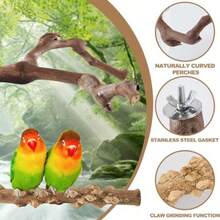 Perch 2 Grape Stick Paw Grinding Fork Natural Wood Bird Stand 4 Parrot Stand Bird Toys for Parakeets Chewing Exercise Branches, Bird Cage Accessories for Cockatiels, Conure, Budgies - Madera - Ver 3